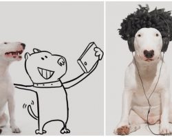 Illustrator & His Handsome Bull Terrier Team Up To Take The Most Creative Photos