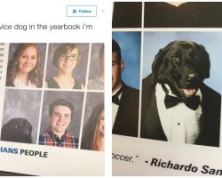 High School Student’s Adorable Service Dog Gets His Own Photo In Yearbook