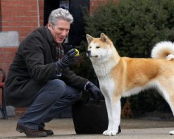 Dogs in History: Hachiko, the Dog that Waited for 9 Years