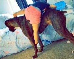 Girl Tries To “Mount” Dog, But Dog Has Enough Of Her Antics & “Loses Patience”