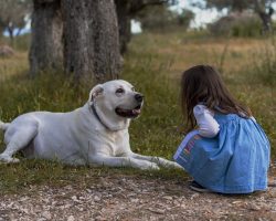 Best Friends PAW-rever: 5 Kid-Friendly Dog Breeds Your Family Will Love