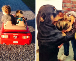 21 Reasons Your Dog Is Truly Your Best Friend