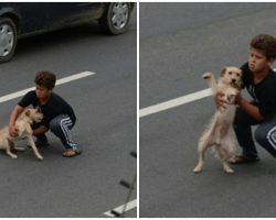 11-Year-Old Boy Races Out And Stops Traffic To Rescue Dog Hit By Car