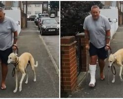 Man Takes $400 Trip To Vet, Learns His Limping Dog Was Just Imitating Him Out Of Sympathy