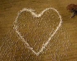 Farmer Pays Tribute To His Late Aunt By Herding Sheep Into A Giant Heart Shape