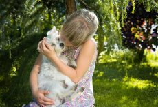 5 Simple Ways To Show Your Dog Affection