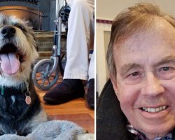Dying Man Holds On Until His Last Wish To Find A Home For His Beloved Dog Is Met