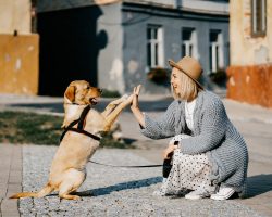 21 Ways To Be a Responsible Dog Owner