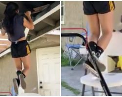 Smart Dog Puts Chair Under Owner’s Feet To “Save Her Life” Seeing Her Struggle On Pull-Up Bar