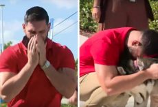 ‘That’s my dog!’ Man finds missing dogs at photoshoot for shelter pets