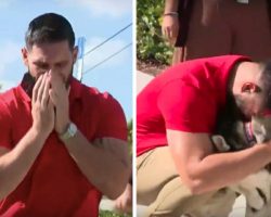 ‘That’s My Dog, Man! That’s My Dog,’ Man Overwhelmed with Emotion After Finding His Lost Dogs