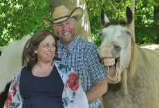 Laughing horse steals the show by photobombing couple’s maternity shoot