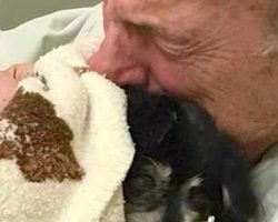 Grieving Man Who Lost His Beloved Dog Dies of Broken Heart