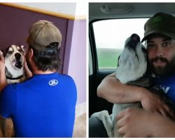 Man has tearful reunion with lost dog who was missing for four years