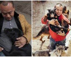 Chinese Millionaire Spends All His Fortune Saving Thousands Of Stray Dogs From The Slaughterhouse