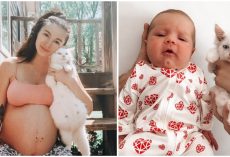 Pregnant woman forms bond with pregnant stray cat, then they give birth at same time