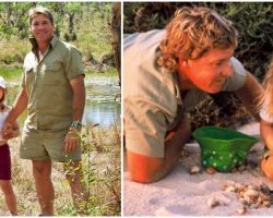 Remembering Steve Irwin: Bindi Irwin Pays Tribute To Her Legendary Dad & His Legacy 15 Years After His Death