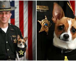 Retired Sheriff Passes Away, Then His Longtime K9 Partner Dies Just Hours Later