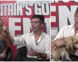 Simon Cowell surprised with a special guest: one of the dogs he saved from the slaughterhouse