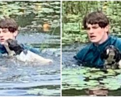 Teen Tourist Jumps into Lake to Save Stranger’s Dog from Drowning