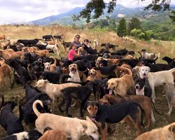 The Biggest Dog Shelter in History: Territorio De Zaguates