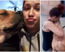 Woman Finds Her Dog on Shelter Adoption Site, Gets Reunited with her Lost Dog After 2 Years