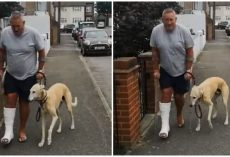 After A $ 400 Trip To The Vet, Man Learns His Dog Pretended To Walk With A Limp Like Hm Out Of Sympathy
