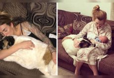 Pregnant Woman’s Dog Wouldn’t Stop Barking Her. Her Warning Ended Up Saving Her Life