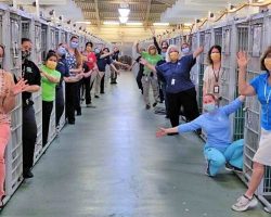 Shelter Celebrates Empty Kennel After Every Dog Was Adopted For First Time Ever