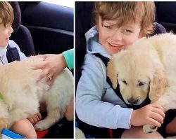Boy With Nonverbal Autism Shows Emotion For First Time When He’s Given A Puppy