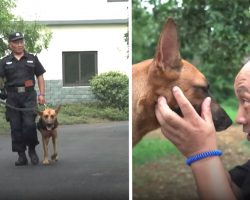 Cop Spends His Own Savings To Care For Retired And Neglected K9s
