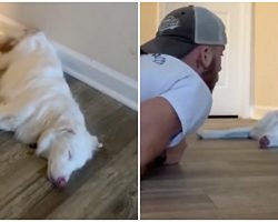 Man Gently Wakes Up His Deaf & Blind Aussie Pup In The Sweetest Manner