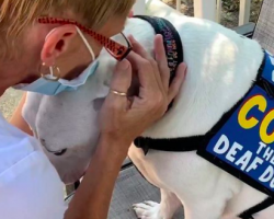 Deafness Can’t Stop This Dog Changing People’s Lives