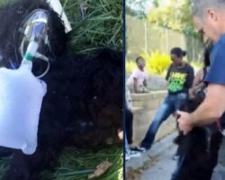 Firefighters Resuscitate Dog Pulled From House Fire, Get A Hug For Their Efforts