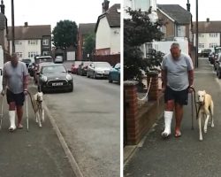 Empathetic Dog Fakes A Limp After Dad Breaks An Ankle