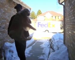 FedEx Driver Finds Lost Dog, ‘Delivers’ Her Back Home To Owner Carrying Her In His Arms