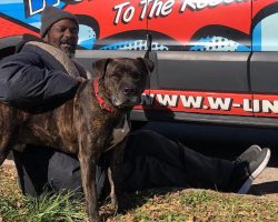 Homeless Man Walks Inside Burning Animal Shelter To Save All 16 Animals