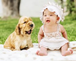 Best Dog Breeds for Babies