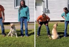 Dog Clearly Prefers Mom To Dad In Hilarious Experiment