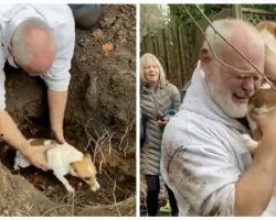 Man breaks down in tears after pulling his missing dog from a fox hole