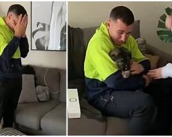 Grown Man Bursts Into Tears When He Gets New Puppy: ‘This Was All He Ever Wanted’