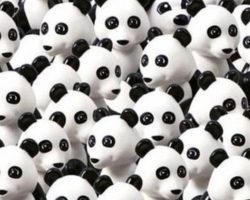 Spot The Dog Who Blends In With All Of The Pandas