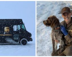 UPS Driver Stops His Deliveries To Save A Dog Drowning In Icy Cold Waters