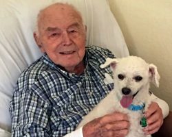 100-Year-Old WWII Veteran Reunites With Beloved Best Friend After A Month Apart