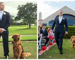 Wounded veteran gets his service dog to be the best man at his wedding