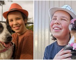 11-Year-Old Boy Spends His Free Time Giving Baths To Stray Dogs To Help Them Get Adopted
