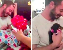 Veteran Suffering From PTSD Gets An Early Christmas Present & Bursts Into Tears