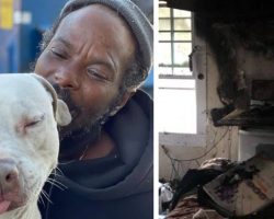 Homeless Man Saves All 16 Animals Inside Shelter That Caught Fire – “I was really scared to go in there”