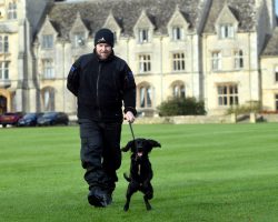 Cocker Spaniel Abused By Owner Gets a New Start – Now Training To Become Police Dog