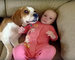 Loving Dog Helps Mom Babysit His Tiny Human, Develops Inseparable Bond With Her